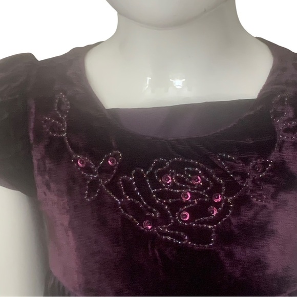 BISCOTTI Collezioni Velvet and Taffeta Special Occasion Fancy Dress Size 4T - Picture 5 of 16